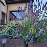 Pieciu Pomostow Guest house 3*