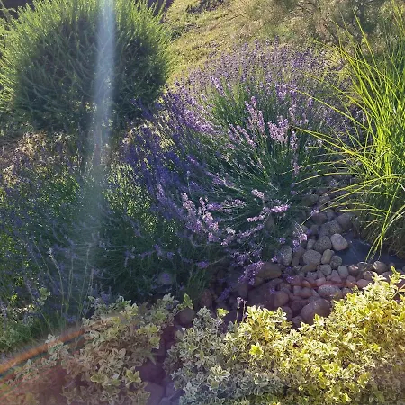 Maison d'hôtes Pieciu Pomostow